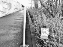 critical area sign (2)