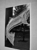 fish on restroom building (2)