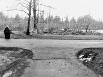 fork in the road (2)