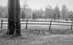 road trail fence golf course (2)
